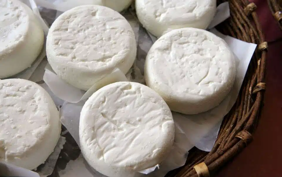 Сыры из козьего молока менее популярны голландские сыры козьи